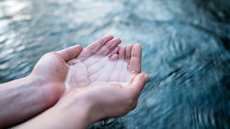 accompagnement en soins aquatiques